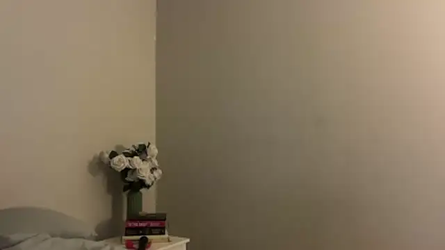 Snapshot of skyejde chatting on November 2025 04:31:02 PM skyejde online show from November 2025 04:31:02 PM