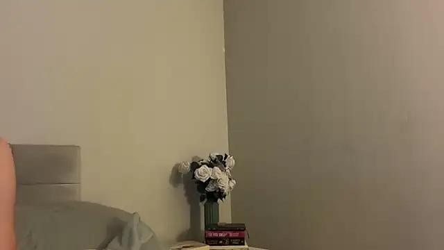 Snapshot of skyejde chatting on December 2025 05:21:02 PM skyejde online show from December 2025 05:21:02 PM