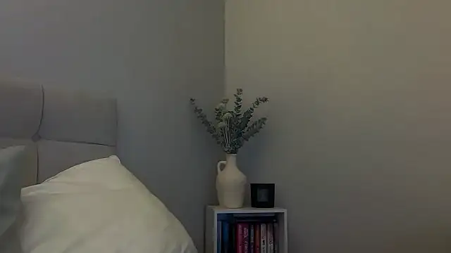 Snapshot of skyejde chatting on January 2026 05:17:01 PM skyejde online show from January 2026 05:17:01 PM