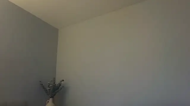 Snapshot of skyejde chatting on February 2026 04:54:01 PM skyejde online show from February 2026 04:54:01 PM