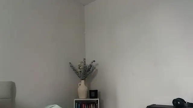 Snapshot of skyejde chatting on February 2026 02:35:01 PM skyejde online show from February 2026 02:35:01 PM