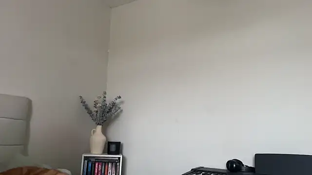 Snapshot of skyejde chatting on March 2026 12:40:01 PM skyejde online show from March 2026 12:40:01 PM