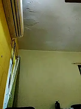 crazyfreaking online show from February 2025 07:26:02 AM