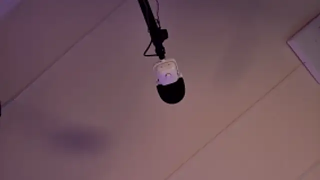 lissa palmer online show from February 2026 03:03:02 AM