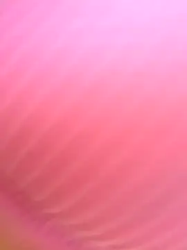 Snapshot of Dulce__Boyd chatting on November 2025 01:44:01 PM Dulce Boyd online show from November 2025 01:44:01 PM