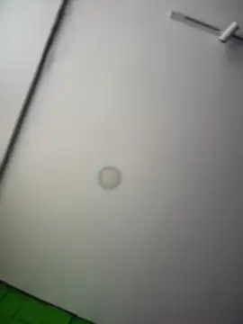 Snapshot of Dulce__Boyd chatting on April 2026 02:17:02 PM Dulce Boyd online show from April 2026 02:17:02 PM