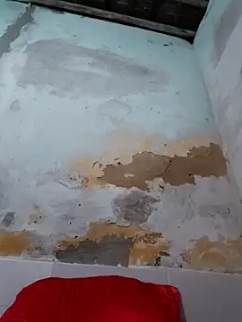 shuelldin online show from October 2025 02:47:02 AM