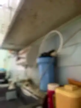 Carola-Ross online show from January 2026 04:32:02 PM