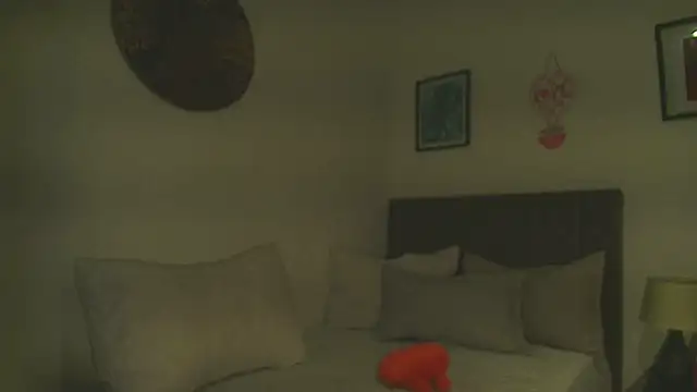 Dhalila  online show from February 2026 01:30:02 PM