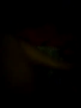 jonzzvergs online show from February 2025 12:30:02 PM