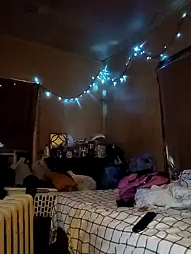 birdg online show from October 2025 05:24:02 PM