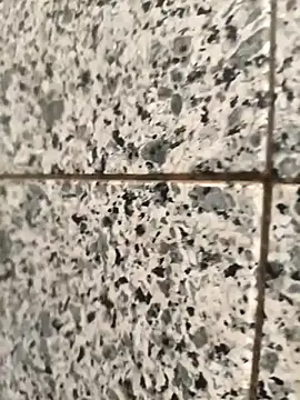 Snapshot of henri69 chatting on February 2026 02:42:01 AM henri69 online show from February 2026 02:42:01 AM