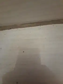 danieljv  online show from December 2025 01:18:02 PM