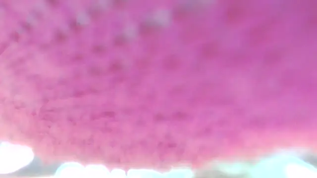 Snapshot of Sweetieanalxxx chatting on April 2026 12:30:01 AM Sweetieanalxxx online show from April 2026 12:30:01 AM