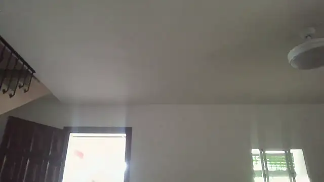 llopaco online show from June 2026 10:31:02 AM