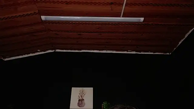 Snapshot of fyreandfox_ chatting on November 2025 06:56:02 PM fyreandfox online show from November 2025 06:56:02 PM