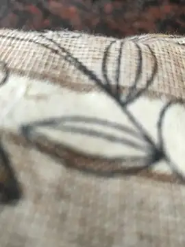 Snapshot of cocktony chatting on March 2025 09:21:01 AM cocktony online show from March 2025 09:21:01 AM