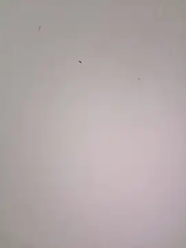 EmmaSulivan online show from February 2026 11:11:02 AM