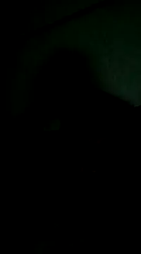 Eusuntnoulgigolo online show from March 2025 07:31:02 PM