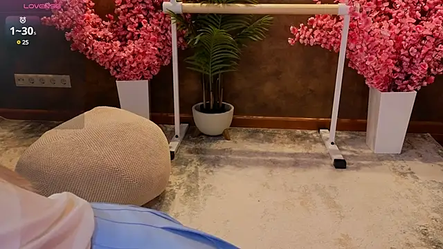 Snapshot of aishiro chatting on February 2025 01:10:02 PM aishiro online show from February 2025 01:10:02 PM