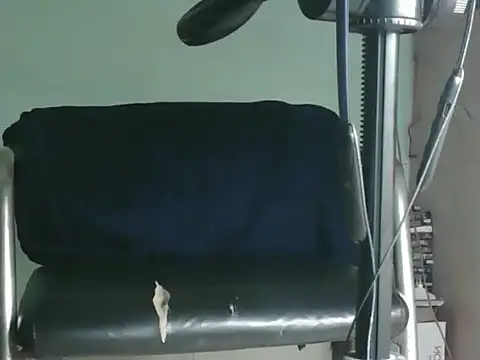 PreetyKitten online show from November 2025 01:55:01 PM