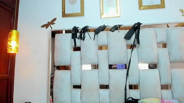 Braylen Sanchez online show from December 2025 03:08:02 PM