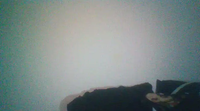 Snapshot of Otravidacol chatting on February 2025 01:46:02 AM Otravidacol online show from February 2025 01:46:02 AM