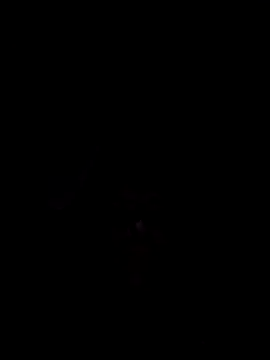 Snapshot of Nidge251 chatting on November 2025 05:28:02 AM Nidge251 online show from November 2025 05:28:02 AM