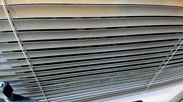 Snapshot of SaraClub_JY chatting on October 2025 10:43:02 PM SaraClub JY online show from October 2025 10:43:02 PM