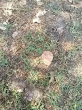 Snapshot of bairobunde chatting on April 2026 08:11:01 AM bairobunde online show from April 2026 08:11:01 AM