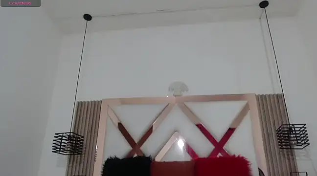 Snapshot of Noahoconor chatting on February 2025 12:36:01 PM Noahoconor online show from February 2025 12:36:01 PM