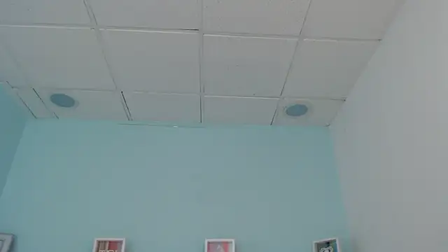 Sunshine gh1 online show from May 2026 11:27:01 AM