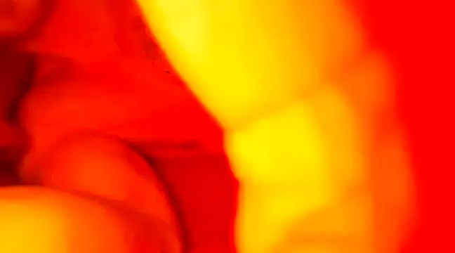 Snapshot of JCstrings chatting on February 2025 07:43:02 PM JCstrings online show from February 2025 07:43:02 PM