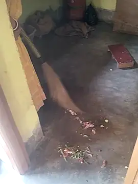 devarbhabhisexpower online show from April 2026 02:28:02 AM