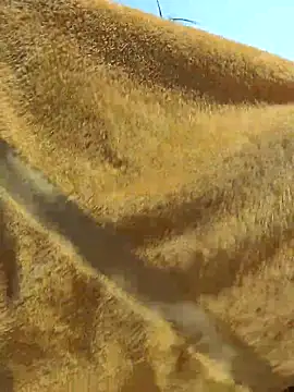 Snapshot of Tocameamor chatting on February 2026 09:05:02 PM Tocameamor online show from February 2026 09:05:02 PM