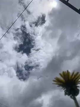 MaxxxSteil online show from November 2025 03:56:02 PM