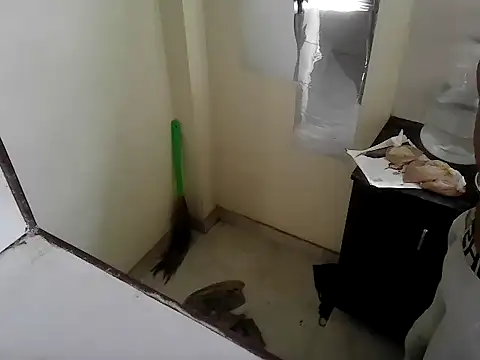 Snapshot of fitbuddy1 chatting on September 2025 09:42:02 AM fitbuddy1 online show from September 2025 09:42:02 AM