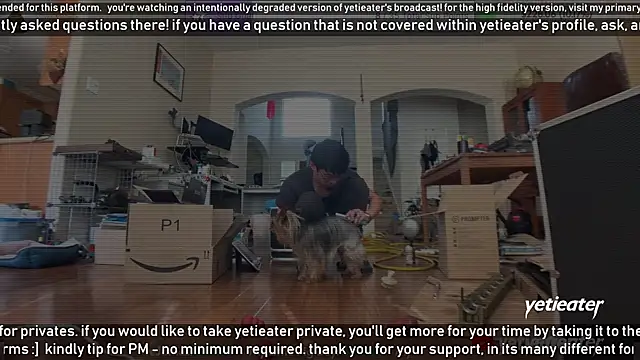 Snapshot of yetieater chatting on February 2025 05:22:02 PM yetieater online show from February 2025 05:22:02 PM