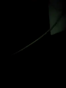 enoc369 online show from December 2025 08:12:01 AM