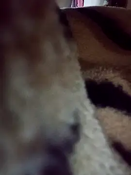 karabokau21 online show from September 2025 10:25:02 PM