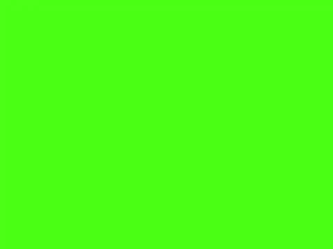 qwe14725 online show from April 2026 12:44:02 PM