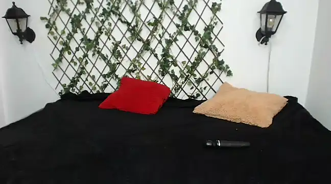 Snapshot of issa__nassar chatting on March 2025 03:34:01 AM issa nassar online show from March 2025 03:34:01 AM