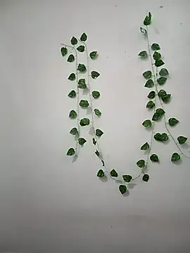 Neha-Bhabhi-Rasily online show from February 2026 09:08:01 AM