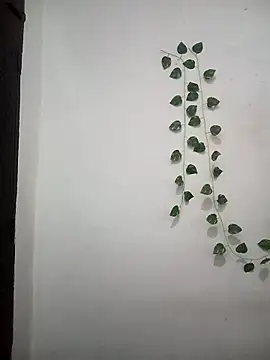 Neha-Bhabhi-Rasily online show from March 2026 05:24:01 AM