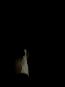 Snapshot of Dasul_ chatting on October 2025 07:07:02 AM Dasul online show from October 2025 07:07:02 AM