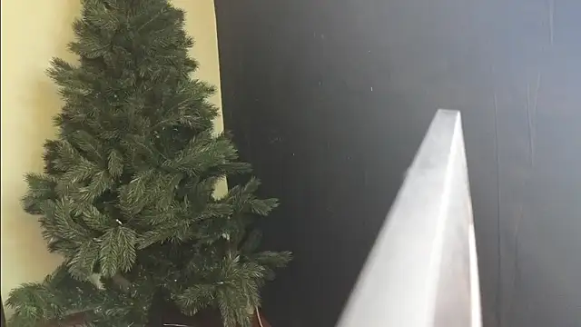 Snapshot of Maya_Mayflower chatting on March 2025 12:12:01 PM Maya Mayflower online show from March 2025 12:12:01 PM