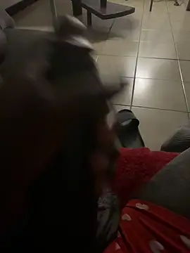 Goodball88 online show from February 2026 03:07:02 AM