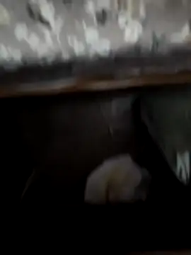 horniestboi online show from April 2026 05:48:02 PM