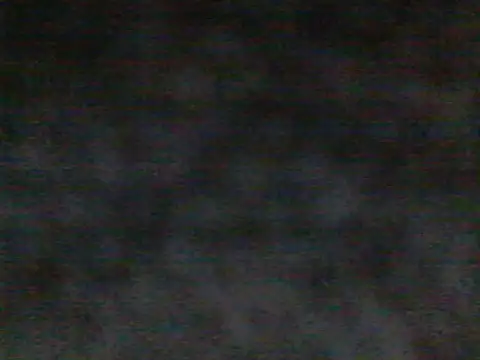 terrribleee online show from May 2026 06:10:02 AM