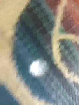 Sexy-nandani-baby online show from October 2025 05:28:02 AM